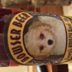Cavachon bowser beer
