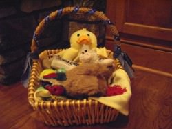 Dog toy basket